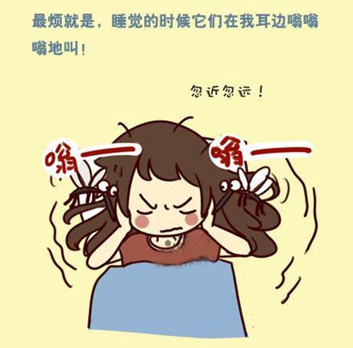 蚊子醒了！快走進紗窗世界，遠離蚊蟲so easy！